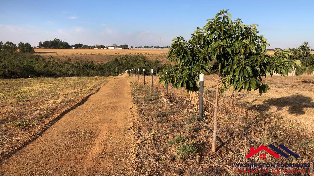 Fazenda à venda com 6 quartos, 500m² - Foto 11