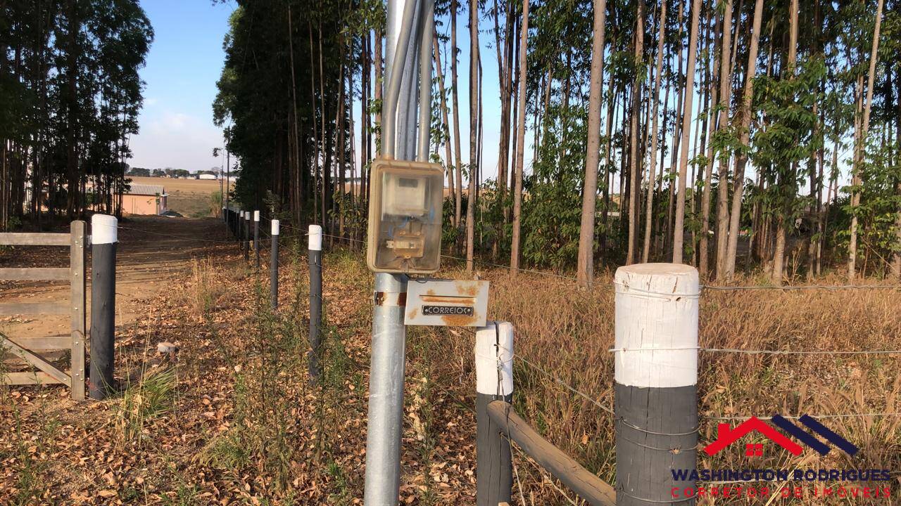 Fazenda à venda com 6 quartos, 500m² - Foto 13