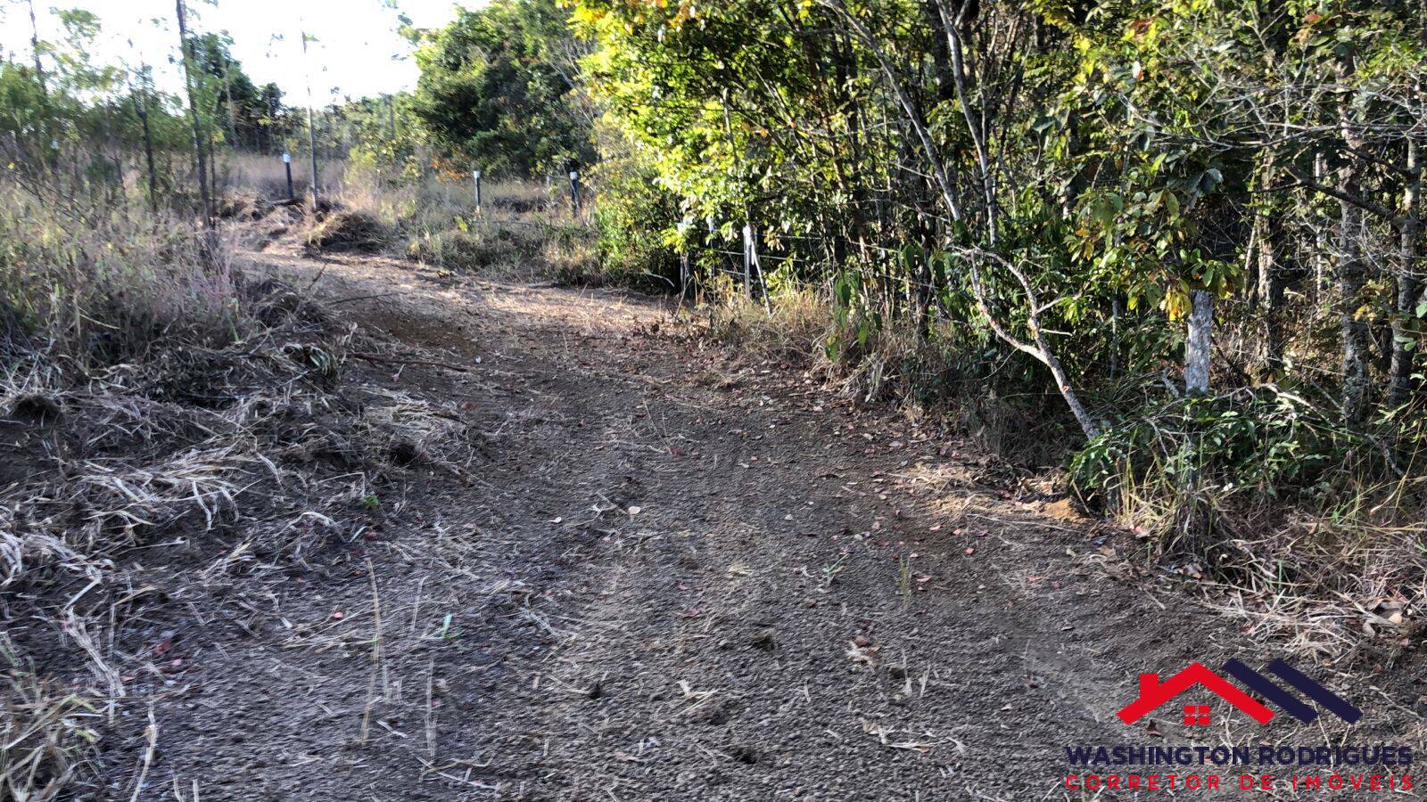 Fazenda à venda com 6 quartos, 500m² - Foto 19