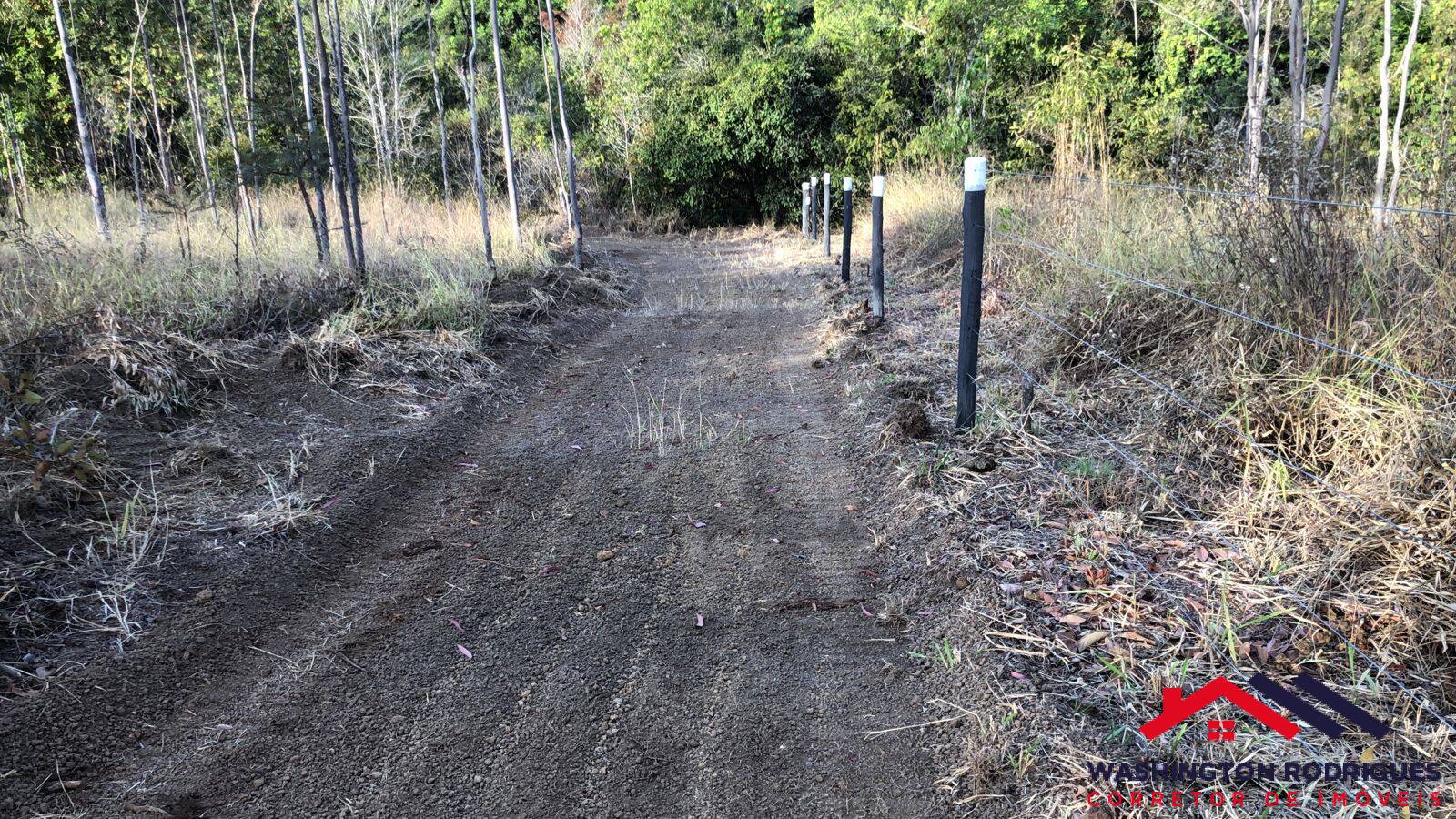 Fazenda à venda com 6 quartos, 500m² - Foto 21