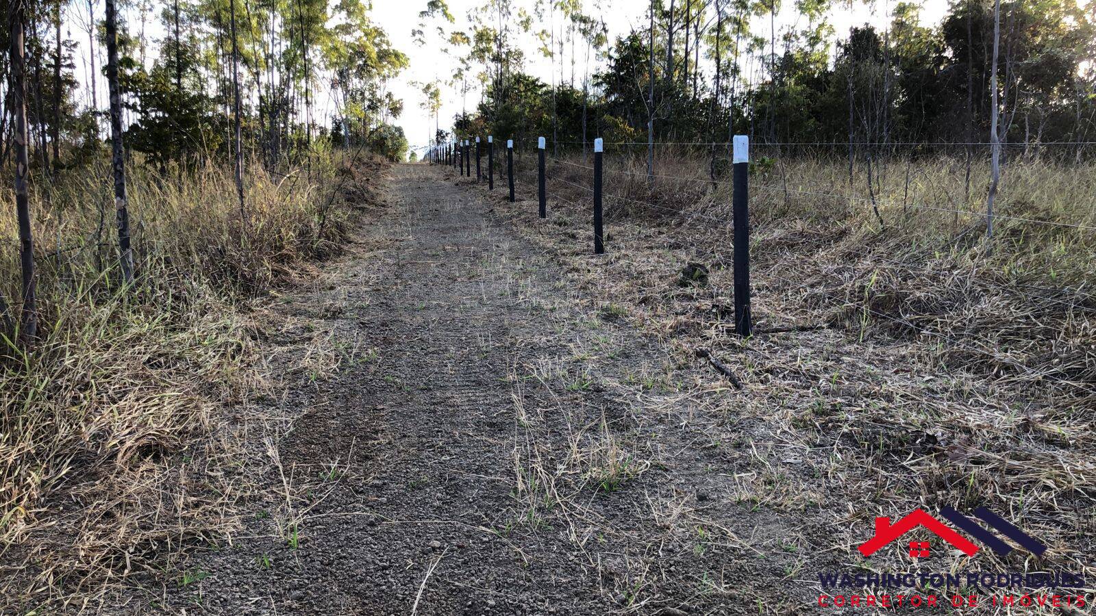 Fazenda à venda com 6 quartos, 500m² - Foto 24